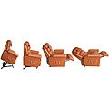 Brown Deluxe Power Lift and Recline Chair