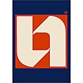 Syracuse University Area Rug (2'8 x 3'10)