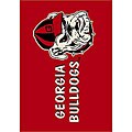 University of Georgia Bulldog Area Rug (2'8 x 3'10)