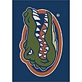 University of Florida Logo Rug (5'4 x 7'8)