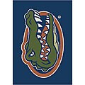 University of Florida Logo Rug (2'8 x 3'10)
