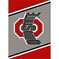 Ohio State University Logo Rug (3'10 x 5'4)
