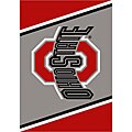 Ohio State University Grey Area Rug (2'8 x 3'10)