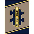 Notre Dame University Area Rug (3'10 x 5'4)
