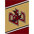 Boston College Area Rug (2'8 x 3'10)