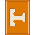University of Tennessee Logo Rug (5'4 x 7'8)