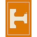 University of Tennessee Logo Rug (2'8 x 3'10)