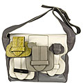 Chloe Small Calfskin Grey Messenger Bag
