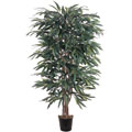 Weeping Ficus 5-foot Silk Tree