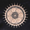 Chinese Calligraphy Sunflower Brown Cushion Cover
