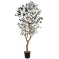 5-foot Dogwood Silk Tree