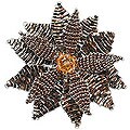 Sterling Silver 'Cinnamon Starflower' Crystal Brooch (Thailand)