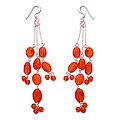 Carnelian 'Wishes' Earrings (India)
