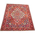 Persian Bakhtiari Handmade Red Rug (8'8 x 11')