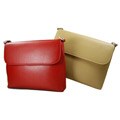 Romano Flap Mini Organizer Handbag