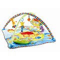 Musical Kick and Discover Activity Gym