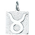 Sterling Silver Taurus Charm