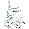 Sterling Silver Capricorn Charm