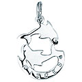 Sterling Silver Pisces Fish Charm