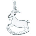 Sterling Silver Capricorn Goat Charm