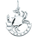 Sterling Silver Cancer Crab Charm