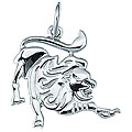 Sterling Silver Leo Zodiac Charm