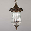 Outdoor Medium Hanging Lantern
