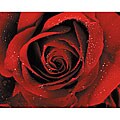 Hand-painted 'Dew Blossom' Canvas Art