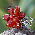 Carnelian 'Paradise' Ring (Thailand)