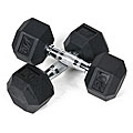 Rubber 20-pound Dumbbells (Set of 2)