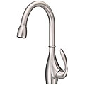 Danze Bellefleur Stainless Steel Pull-down Kitchen Faucet