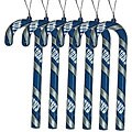 Detroit Lions Candy Cane Ornament Set