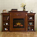 Dublin Electric Fireplace with Bookcases