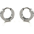 Stainless Steel Cubic Zirconia Hoop Earrings