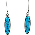 Stainless Steel Turquoise Drop Earrings