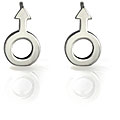 Stainless Steel Male Symbol Earrings