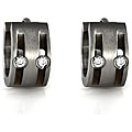 Stainless Steel Cubic Zirconia Earrings