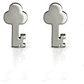 Stainless Steel Key Earrings