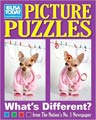 USA Today Picture Puzzles (Paperback)