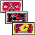 NCAA College Licensed Logo and Mascot Mirror