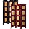 Photo Shoji Screen (China)