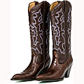 Lane Dundee Women's Cowboy Boots