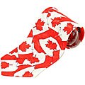 Mystic Clothing Canadian Flag Tie with Gift Box