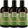 Aromaland Tea Tree and Lemon 12-ounce Shampoos (Pack of 3)