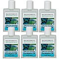 Rainforest Botanicals 1-ounce Eucalyptus Essential Oils (Pack of 6)