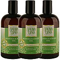Aromaland Tea Tree and Lemon 12-ounce Body Oils (Pack of 3)