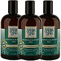 Aromaland Lemongrass and Sage 12-ounce Body Oils (Pack of 3)