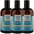 Aromaland Rosemary and Mint 12-ounce Body Oils (Pack of 3)