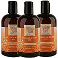 Aromaland Jasmine and Clementine 12-ounce Body Oils (Pack of 3)