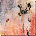 Maeve Harris 'Floral Impression I' Canvas Art